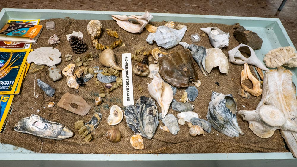 Touch Table For Kids